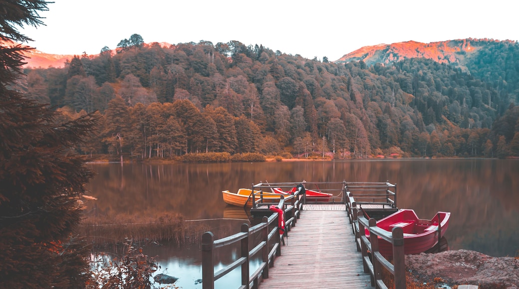 Artvin