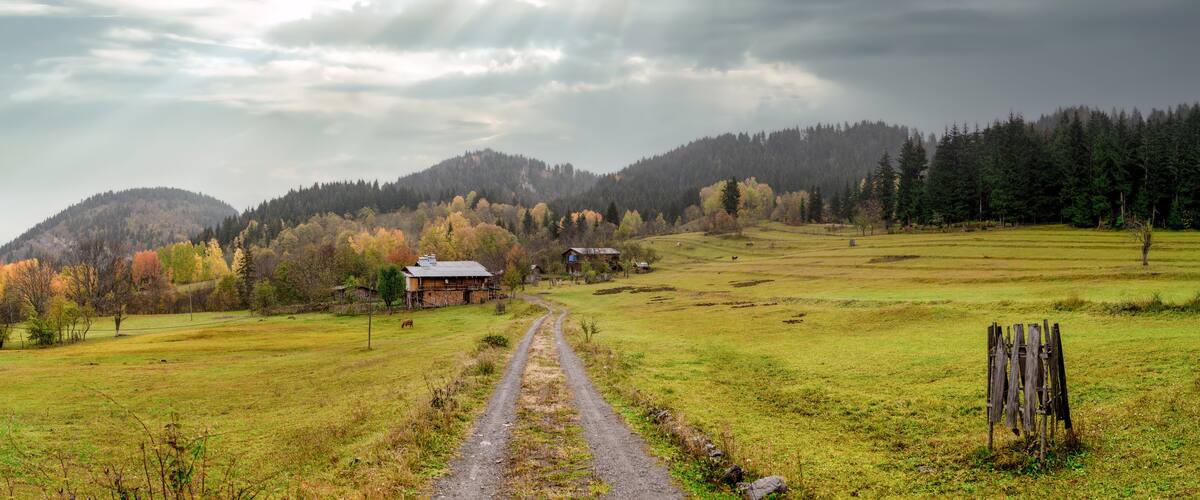 A rural landscape with a dirt road, houses, and a forested hill.