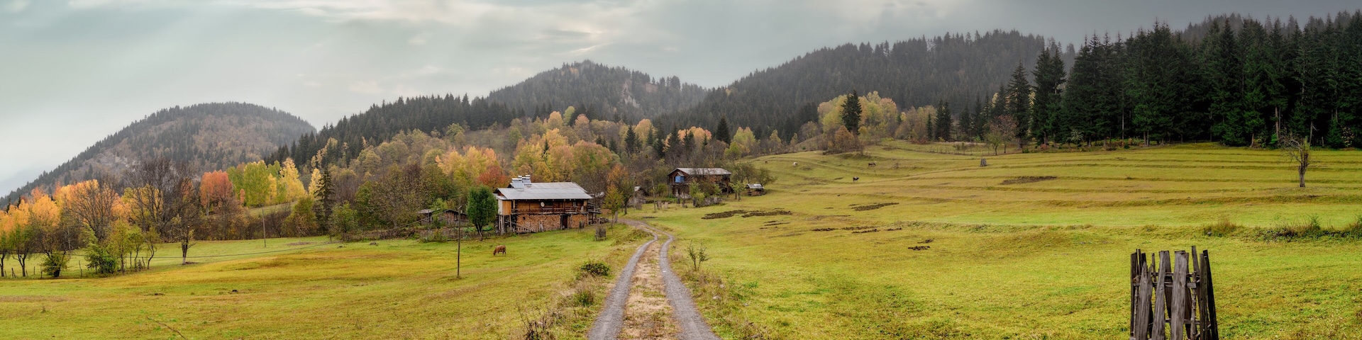 A rural landscape with a dirt road, houses, and a forested hill.