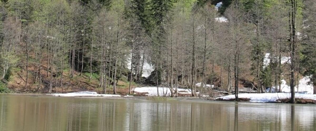 Karagöl, Borçka, Artvin, Turkey
#SpringFun