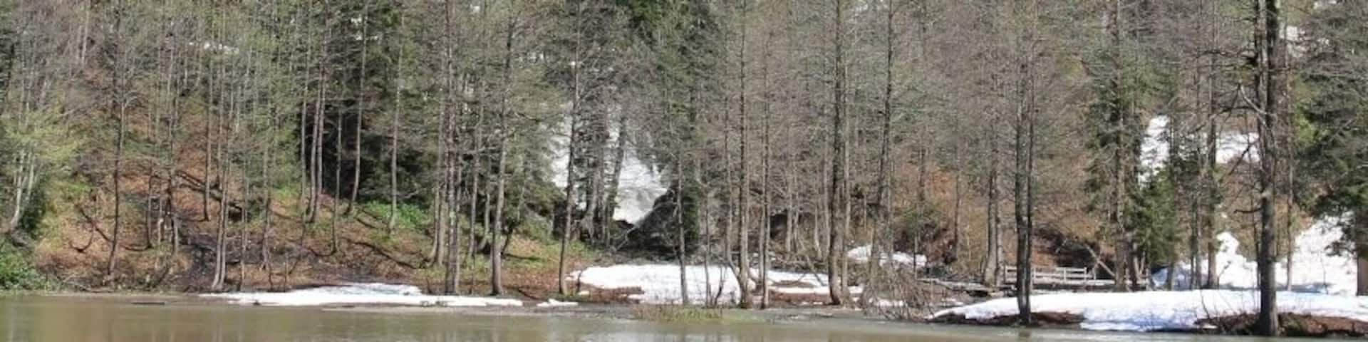 Karagöl, Borçka, Artvin, Turkey
#SpringFun