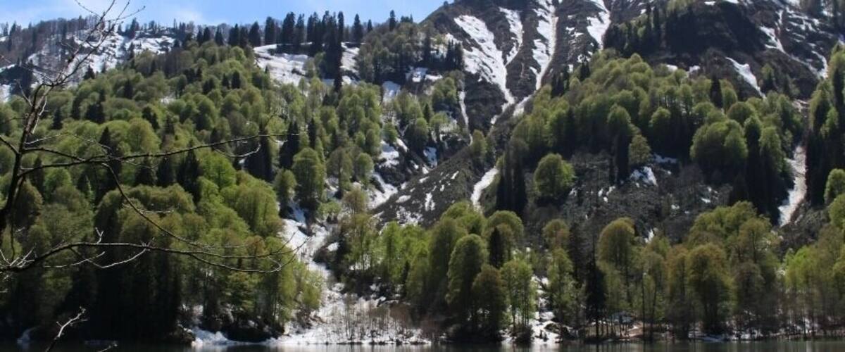 Karagöl, Borçka, Artvin, Turkey
#SpringFun