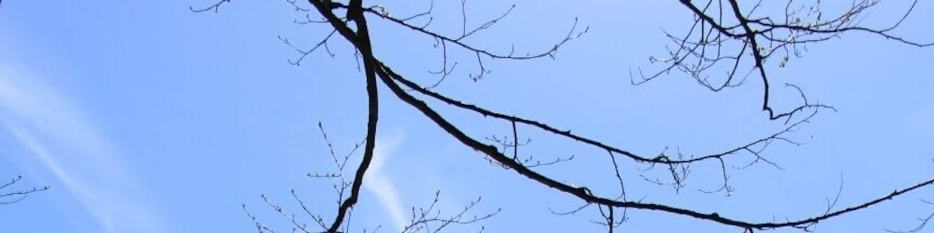 Karagöl, Borçka, Artvin, Turkey
#SpringFun