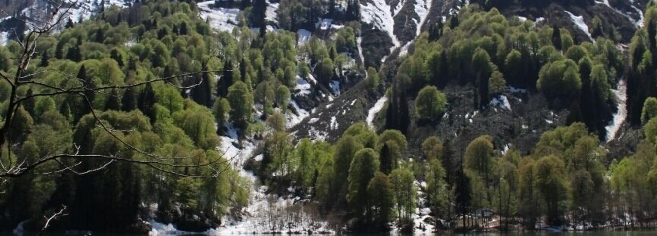 Karagöl, Borçka, Artvin, Turkey
#SpringFun