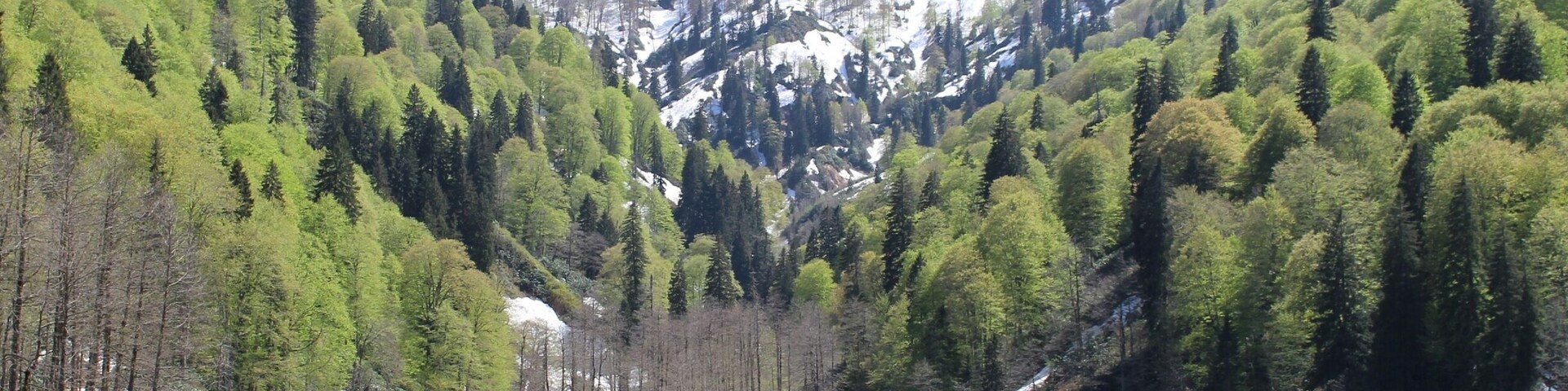 Karagöl, Borçka, Artvin, Turkey 
#SpringFun
