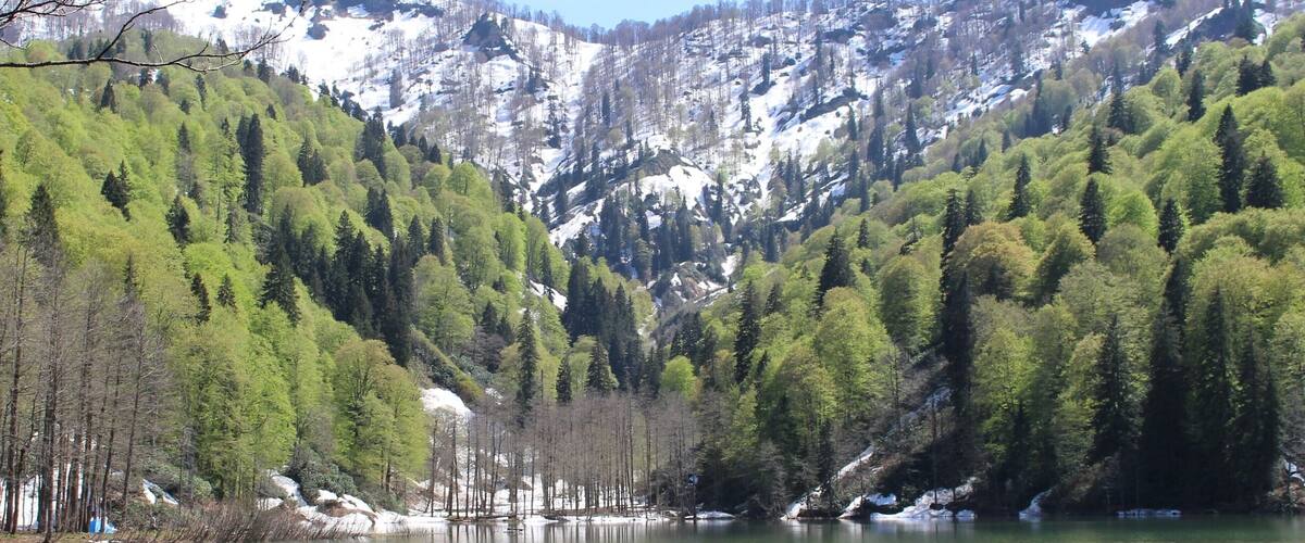 A lake surrounded by snow-capped mountains and dense forests.