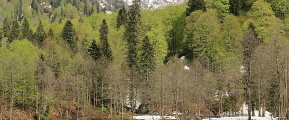 Karagöl, Borçka, Artvin, Turkey
#SpringFun