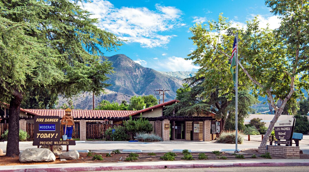Los Padres National Forest
