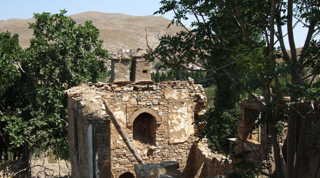 Imbros, Çanakkale, Turkey
#green #greenphotosweepstakes