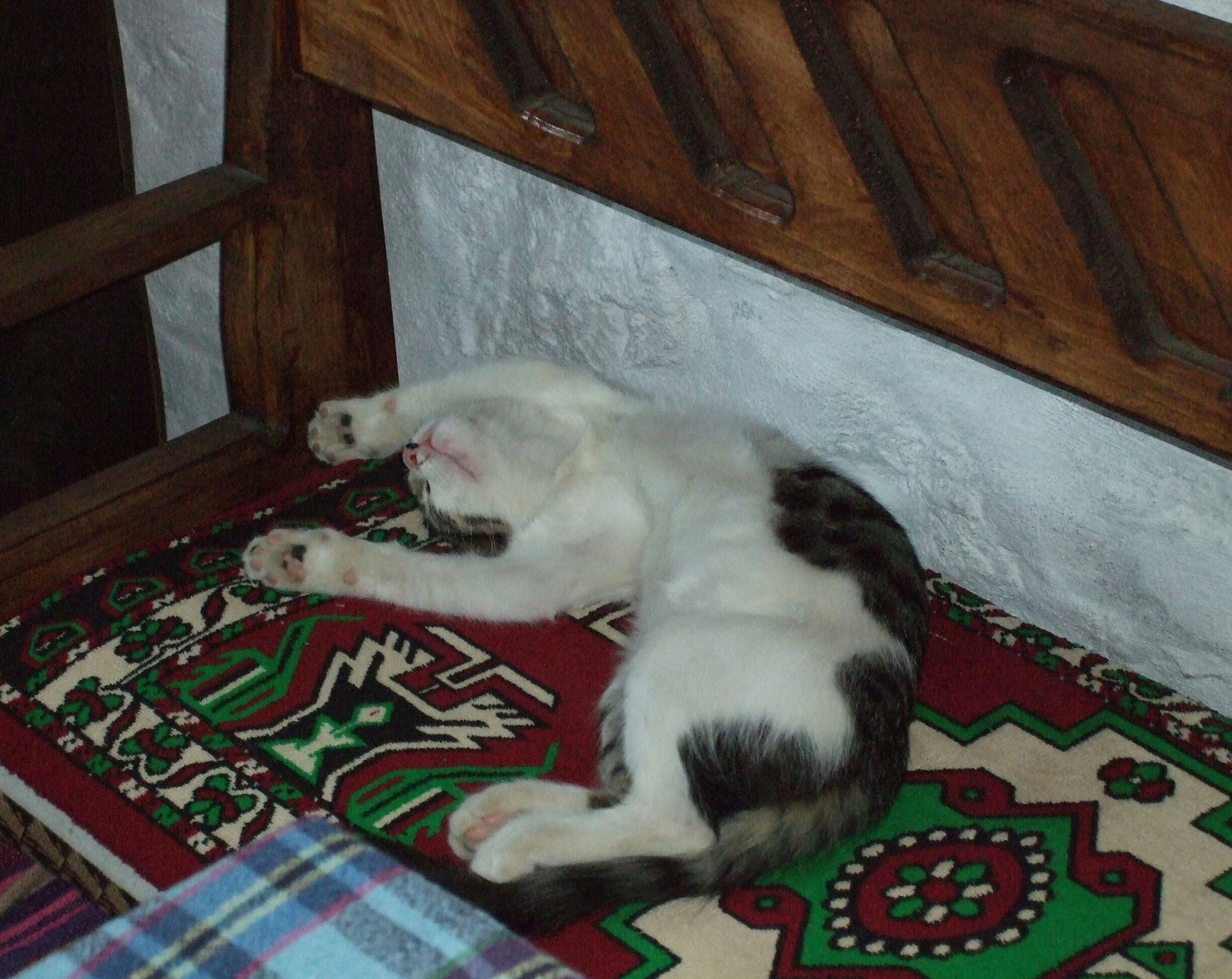 Imbros, Çanakkale, Turkey 
#green #greenphotosweepstakes 