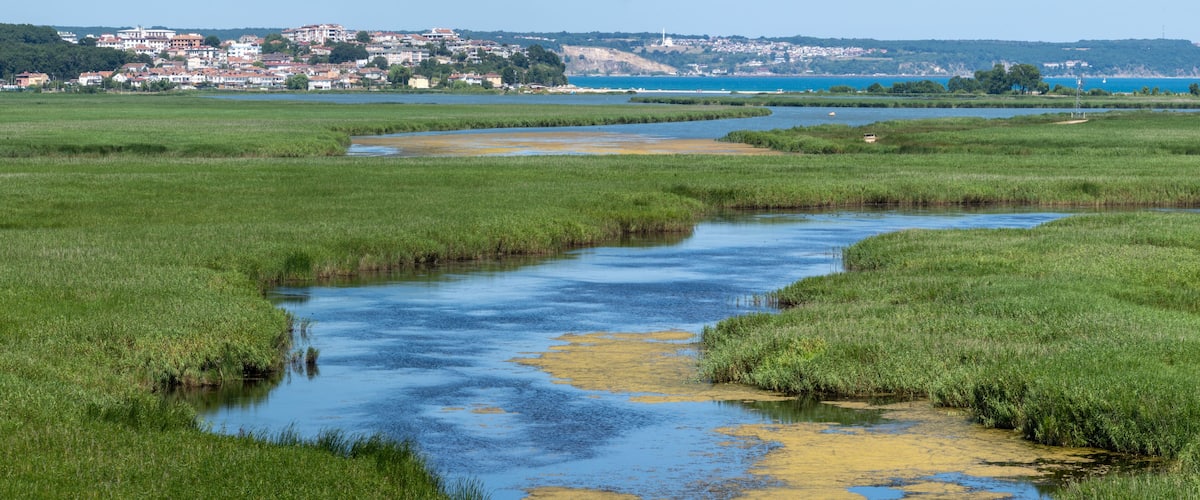 A river meandering through a green landscape with a town in the background.