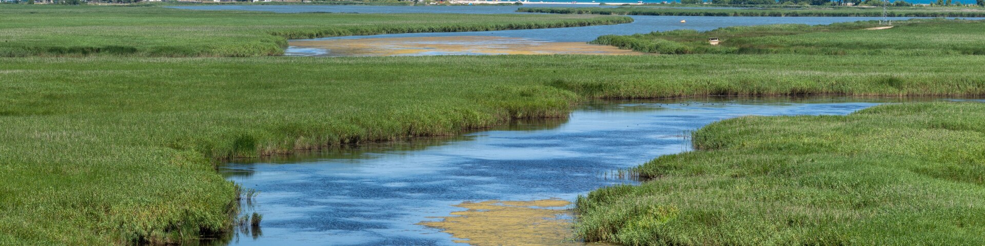 A river meandering through a green landscape with a town in the background.