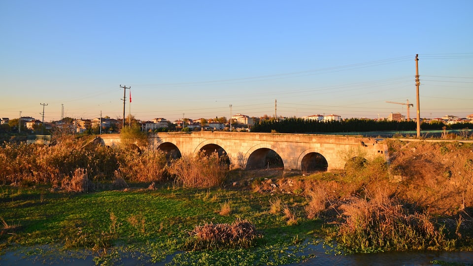 A stone bridge with multiple arches over a river, surrounded by greenery and residential buildings in the background.