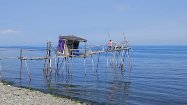 Un muelle de madera que se adentra en aguas tranquilas, con un pequeño refugio y una persona de pie sobre él.