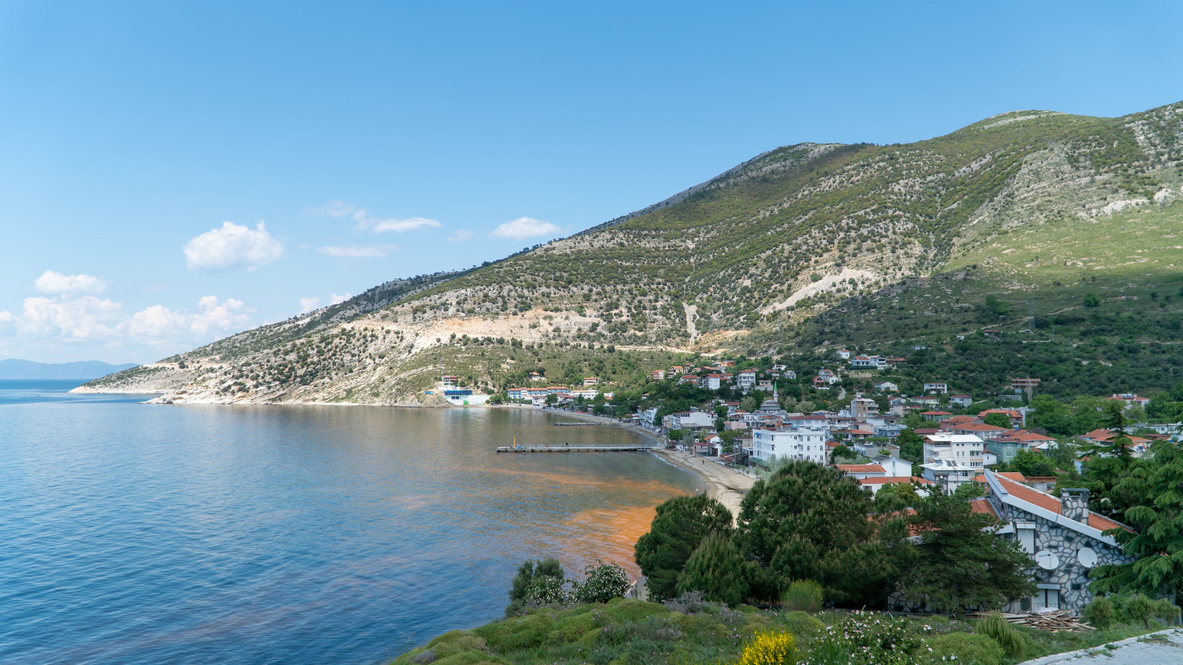 A coastal town with a hillside, a pier, and a body of water.