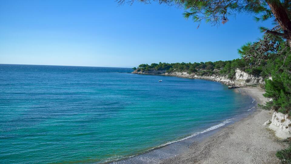 A turquoise sea with a sandy beach, cliffs, and trees.