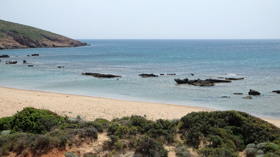 A coastal landscape with a sandy beach, rocky outcrops, and dense shrubbery.