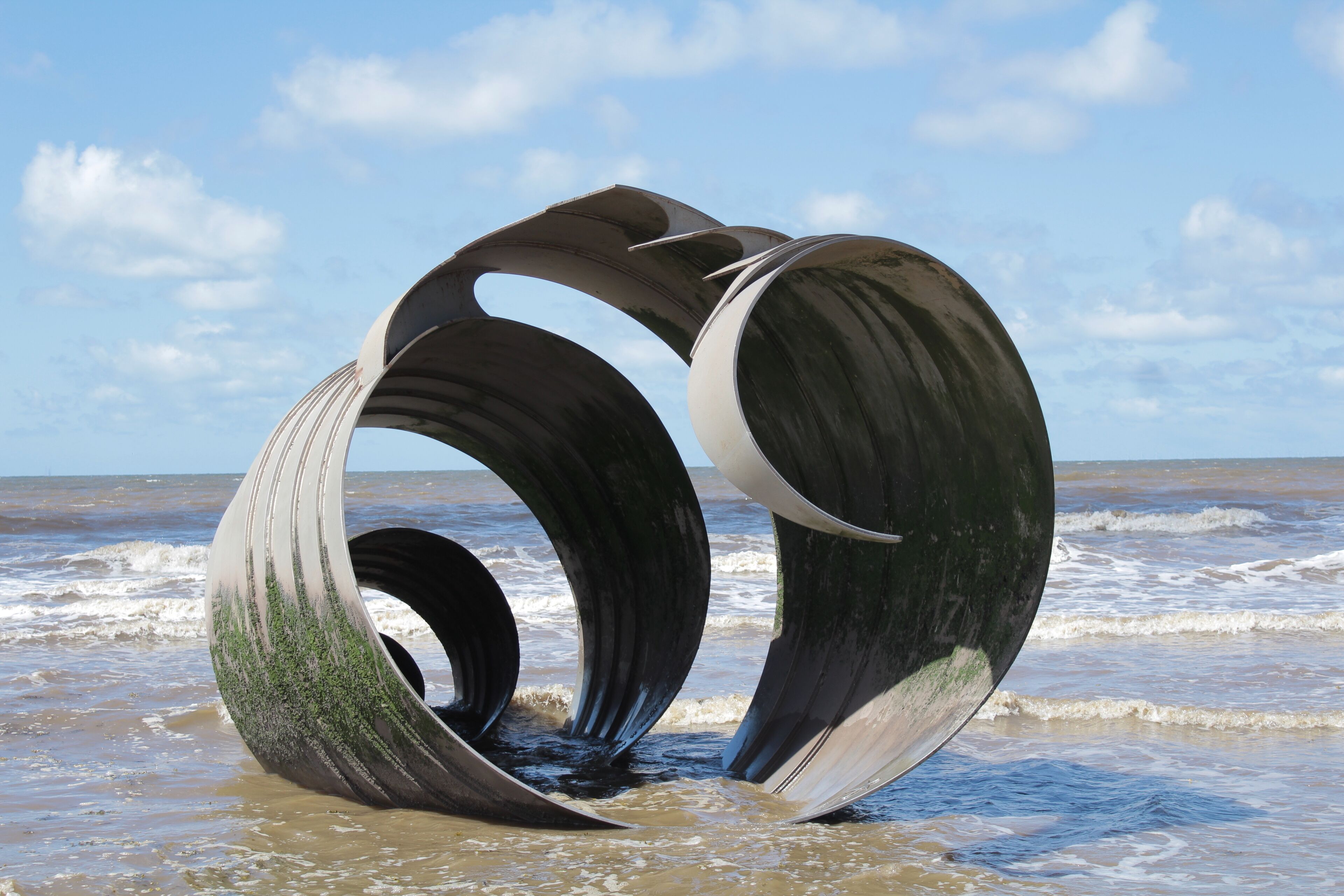 Just on the beach looks like a shell 