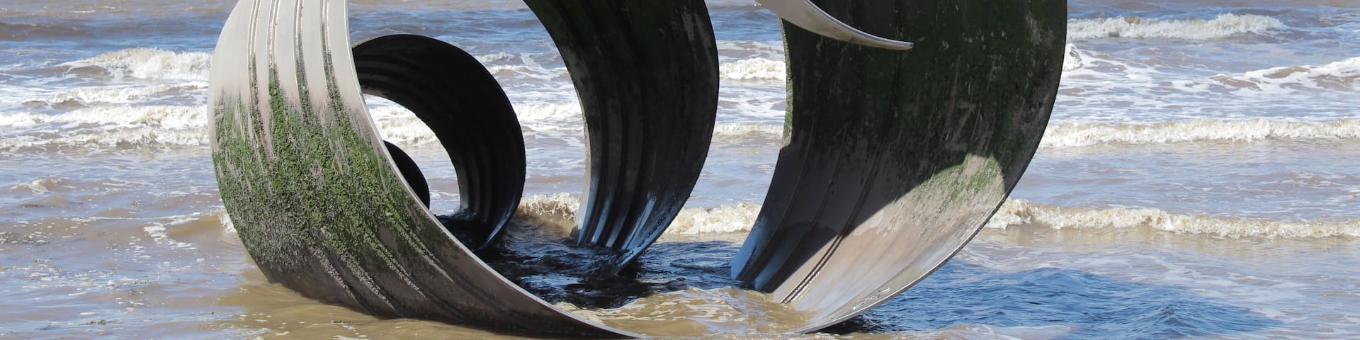 Just on the beach looks like a shell
