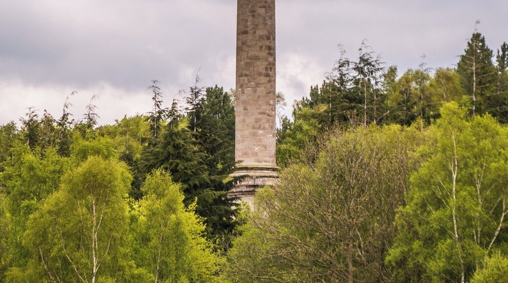 The 146 feet high Liberty Statue at Gibside.