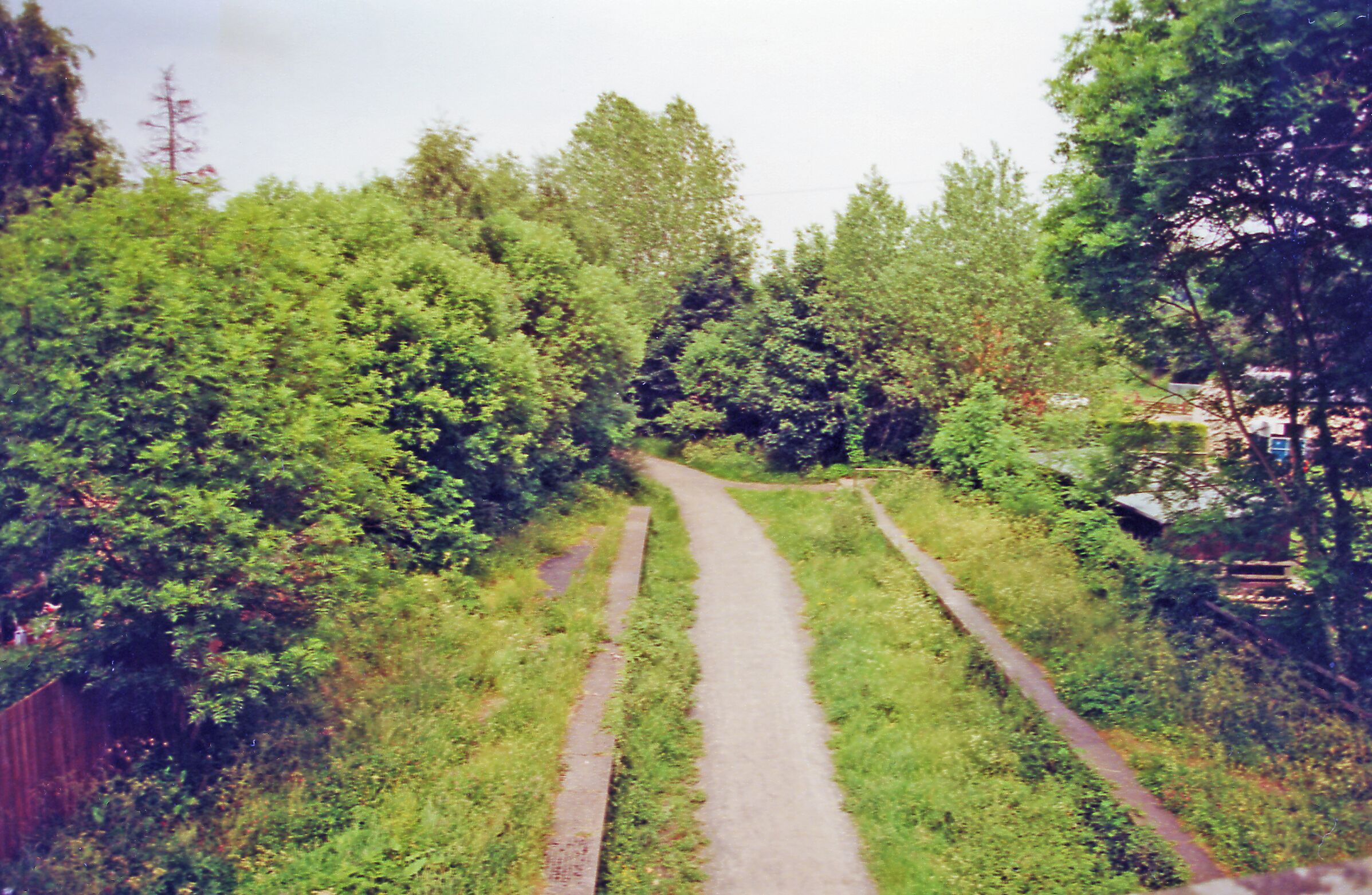 Un sendero estrecho y sinuoso que serpentea por un bosque frondoso y verde, con árboles altos y una valla a un lado.