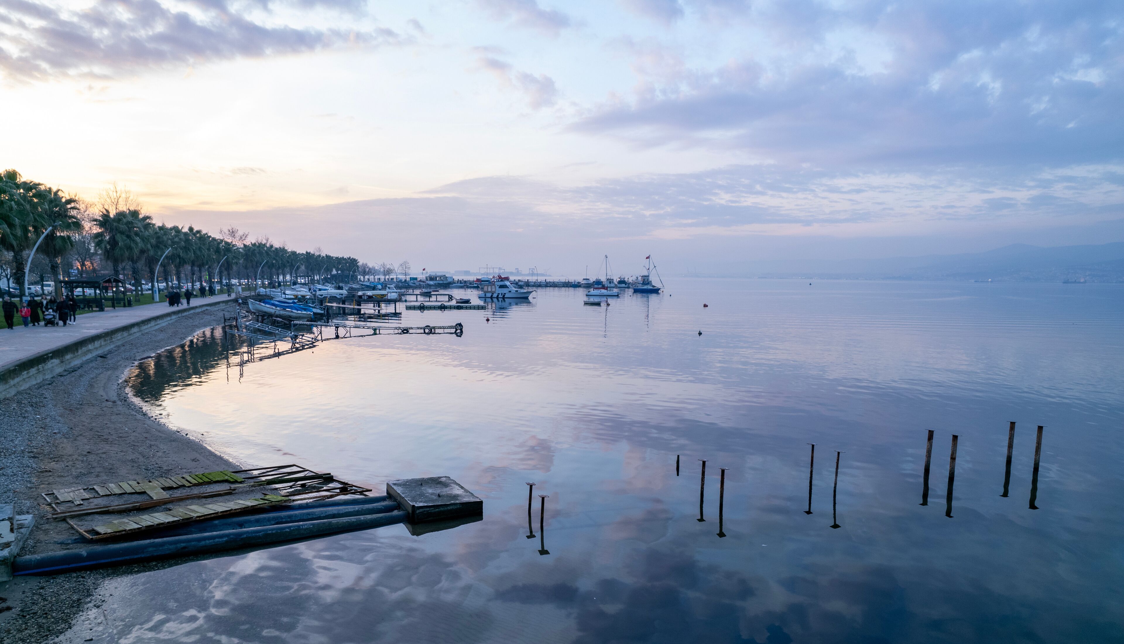 A calm waterfront with boats docked along the pier, a sandy beach, and a row of trees lining the shore.