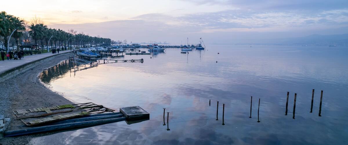 A calm waterfront with boats docked along the pier, a sandy beach, and a row of trees lining the shore.
