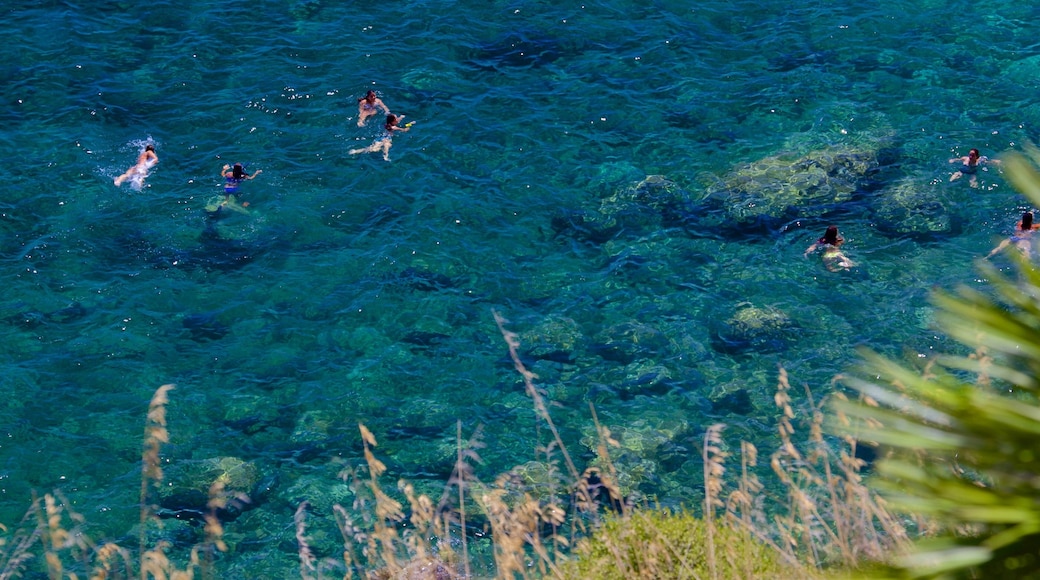 Zingaro Beach featuring general coastal views and swimming as well as a small group of people