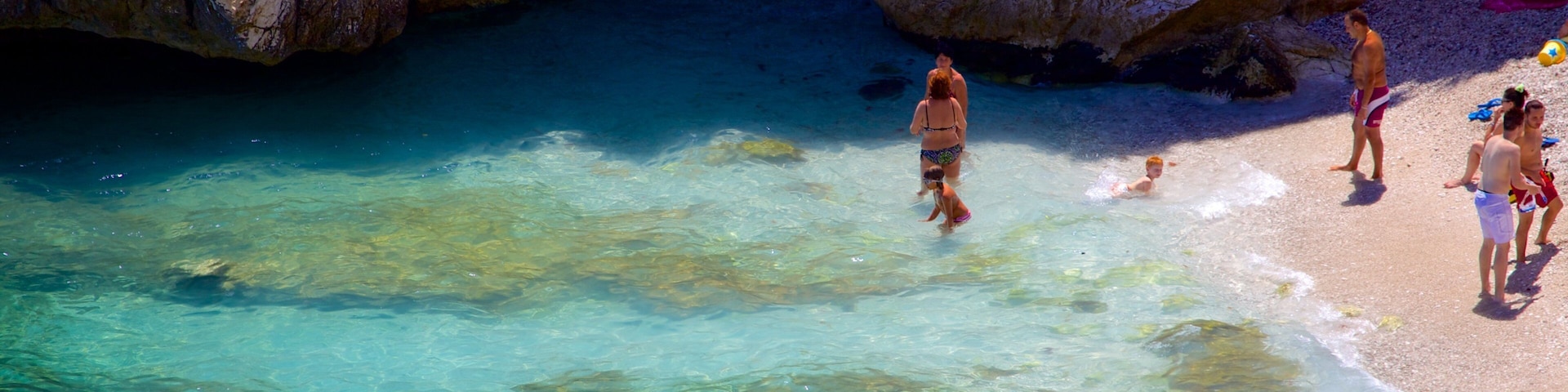 Zingaro Beach which includes swimming, a sandy beach and rugged coastline