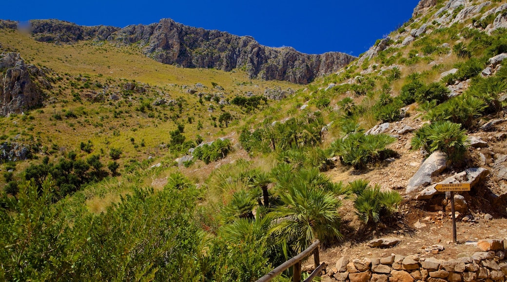 Zingaro Beach which includes tranquil scenes and mountains