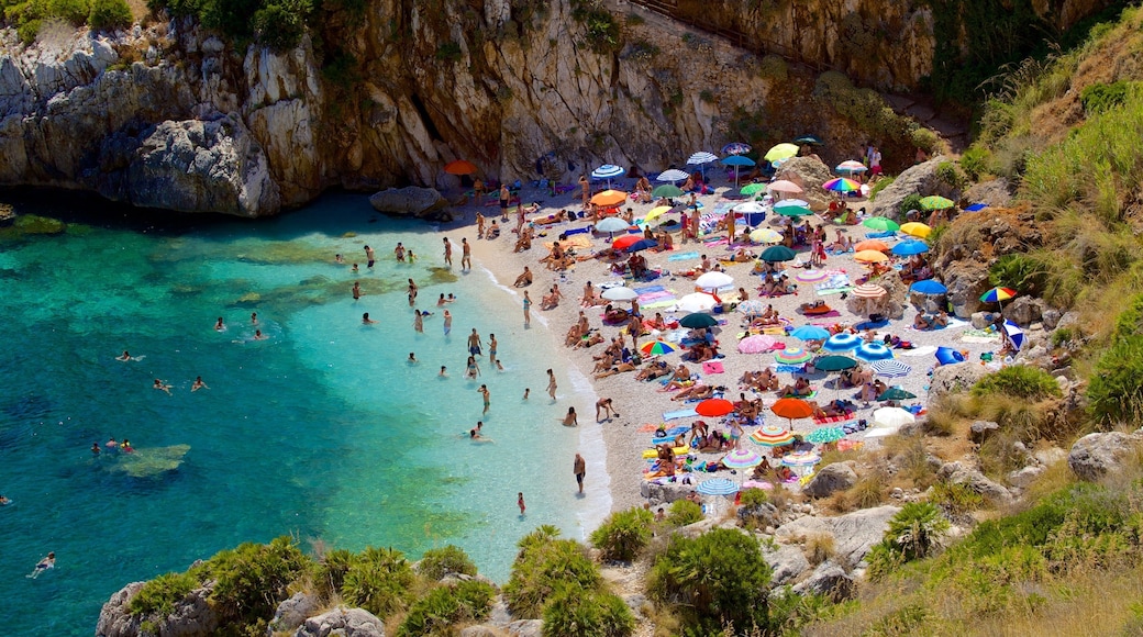 Strand von Zingaro welches beinhaltet Bucht oder Hafen, Schwimmen und Strand