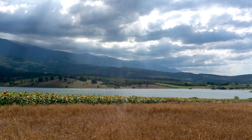 Clouds Sunrays Sunflower Fields Kestel Bursa Turkey