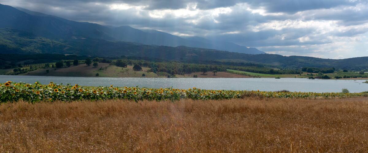 A lake surrounded by mountains and a field of sunflowers.