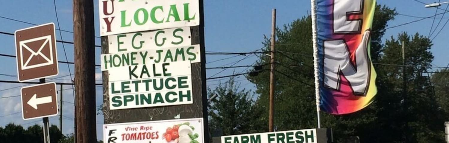 One of the many farms stands along the beautiful north fork of Long Island.