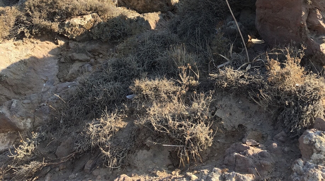 The Military Lighthouse in Santorini