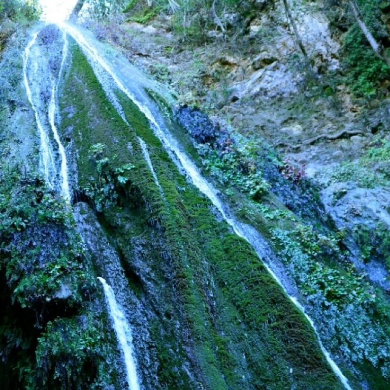 It's impressive 80ft moss and fern fringed waterfall. 