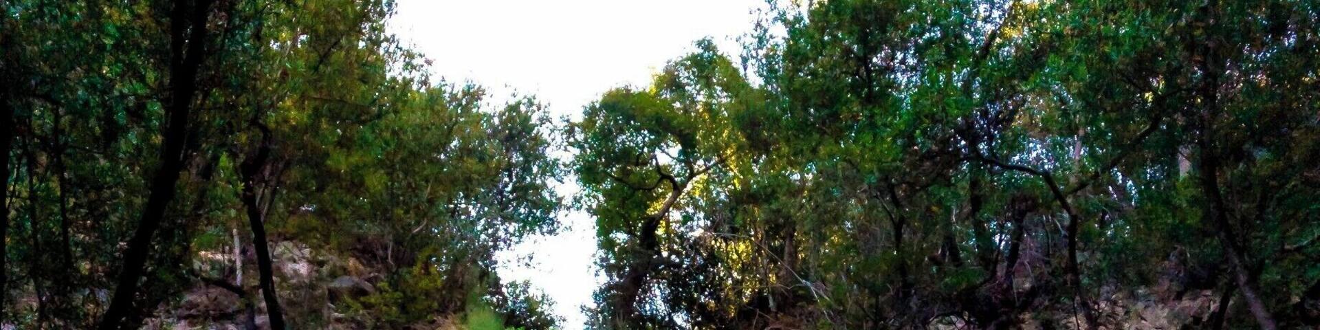 There wasn't much "falling" going on, more like a trickle.. but it was still pretty. Also, it's a earthcache (geocaching.com).