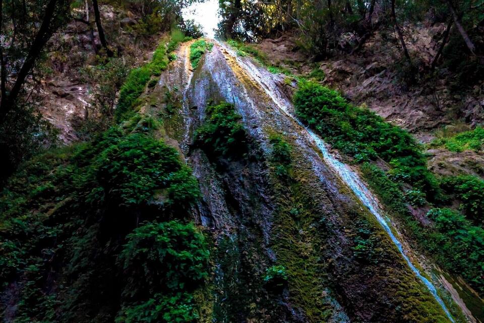 A narrow, moss-covered path winding through a dense forest with steep, rocky cliffs.