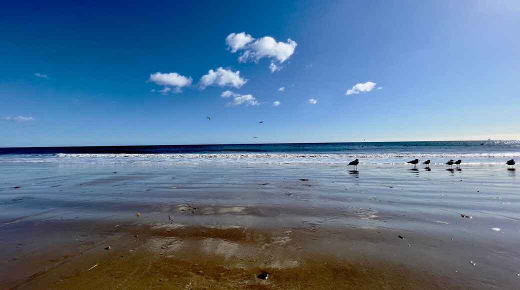 Playa estatal de Refugio