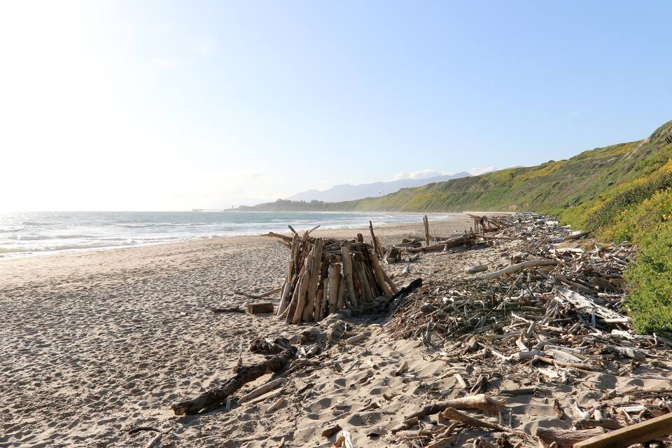 Una playa con ramas y restos a la orilla.