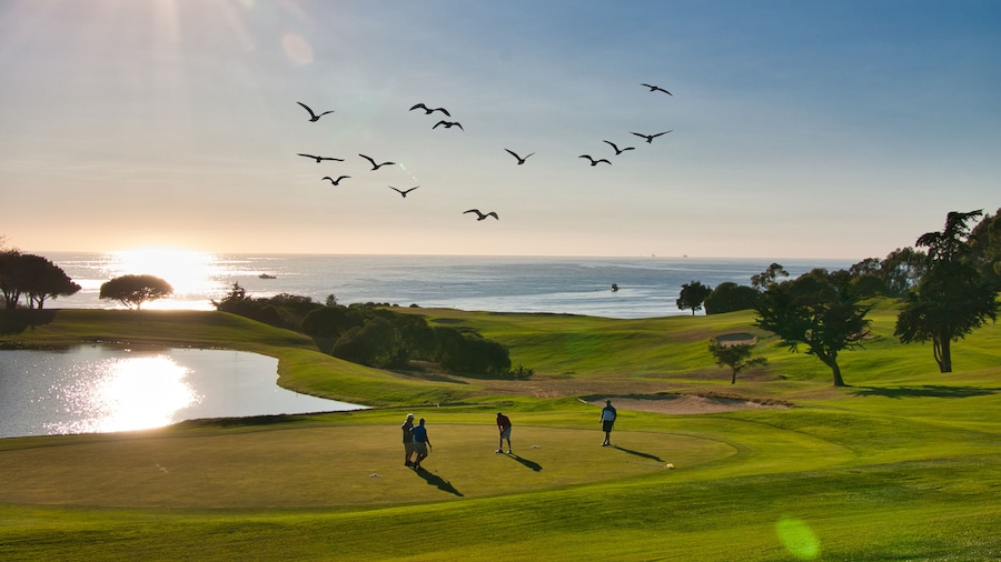 Sandpiper Golf Club