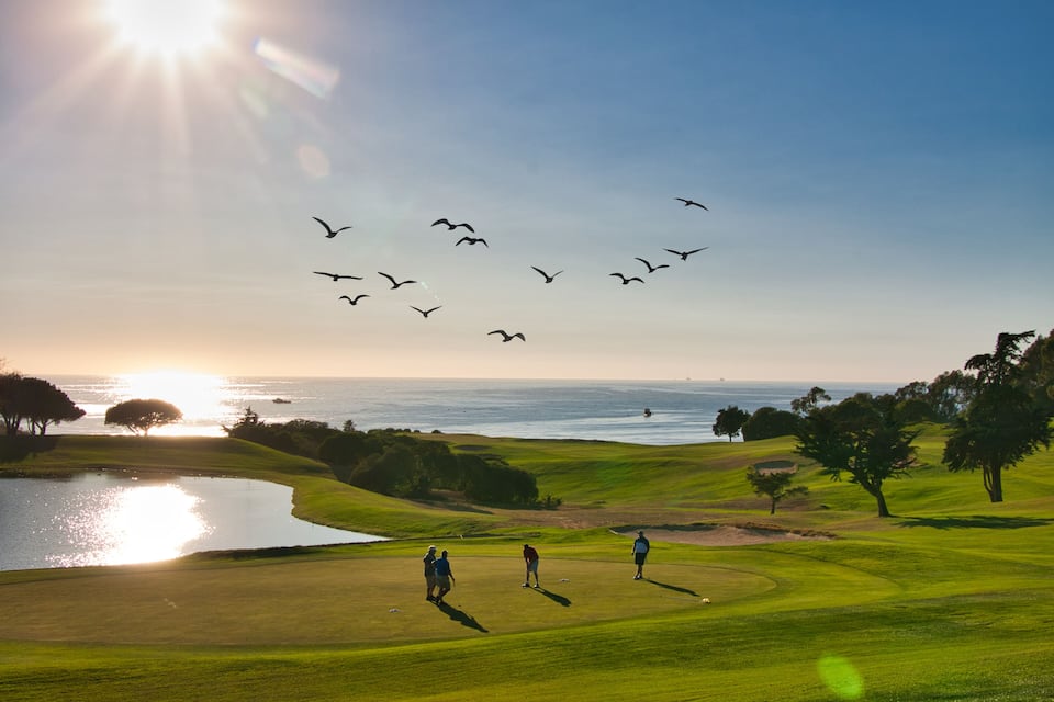 Un parcours de golf avec un lac, des arbres et l’océan en toile de fond.