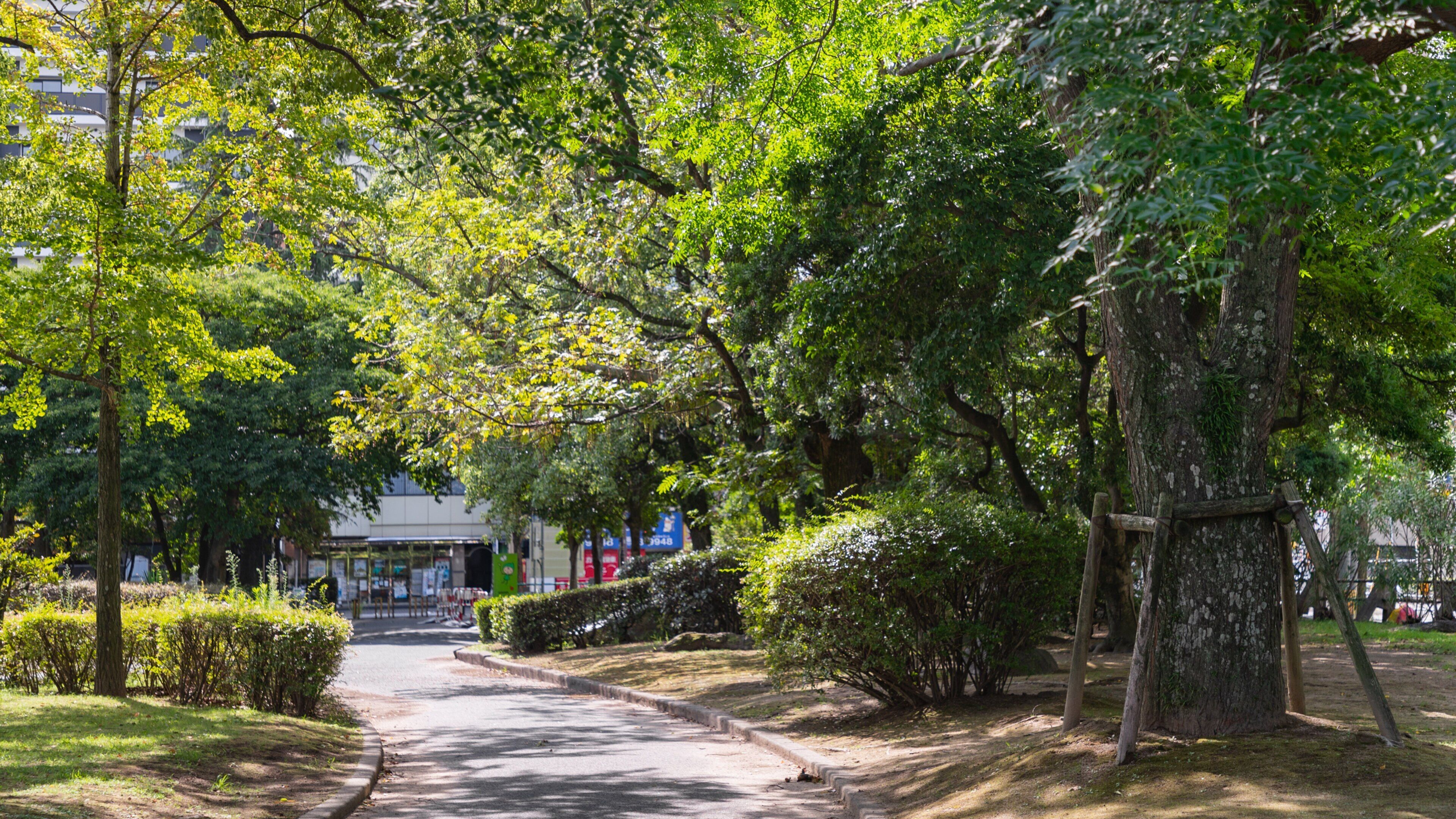Suzaki Park