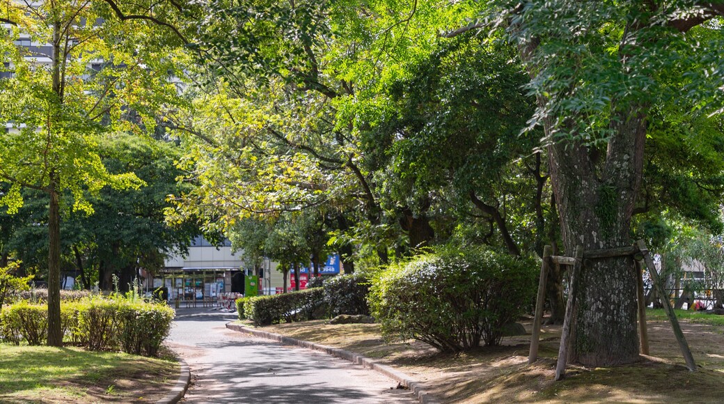 Suzaki Park