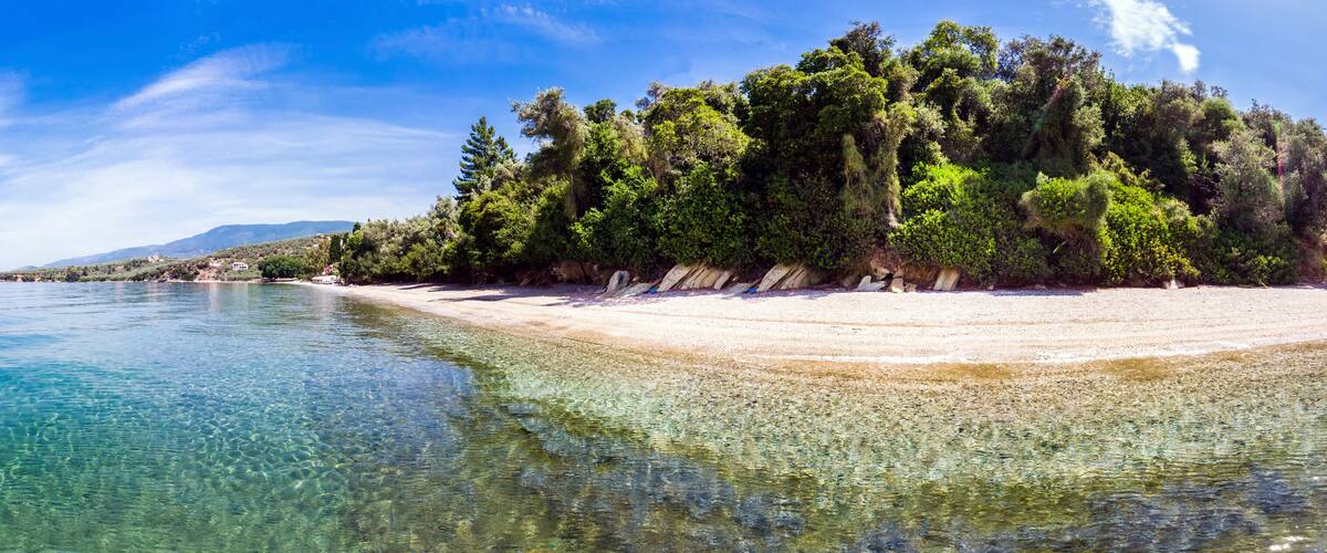 A clear beach with turquoise water, a sandy shore, and dense green trees.