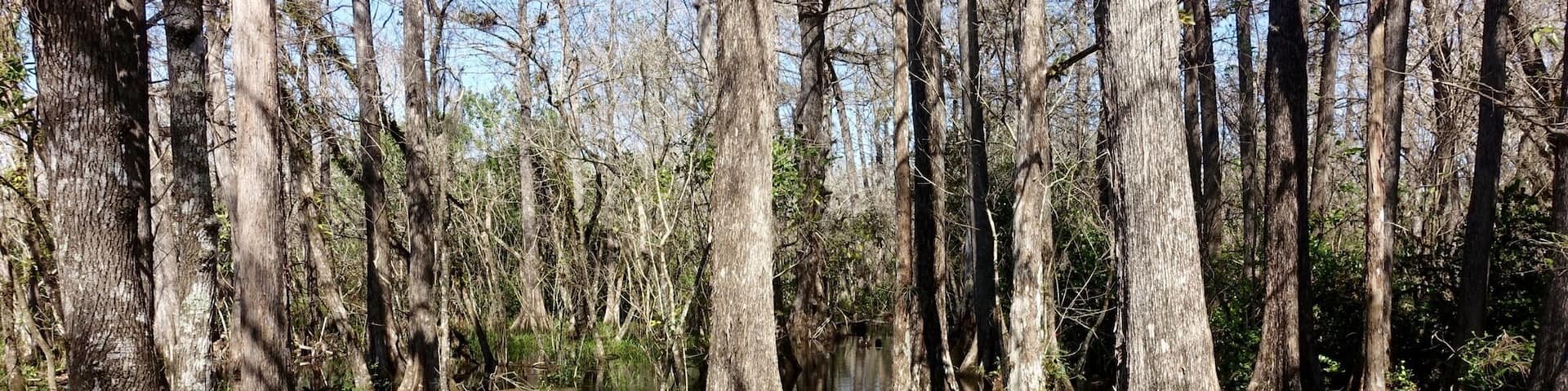 Just loved this place. Amazing spot to explore the natural beauty of the everglades