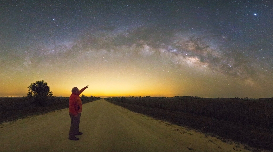 Anytime you go outside in the Everglades at night, you roll the dice if you’re gonna make it back without being drained dry from all the mosquitoes. But this view was worth it. #adventure