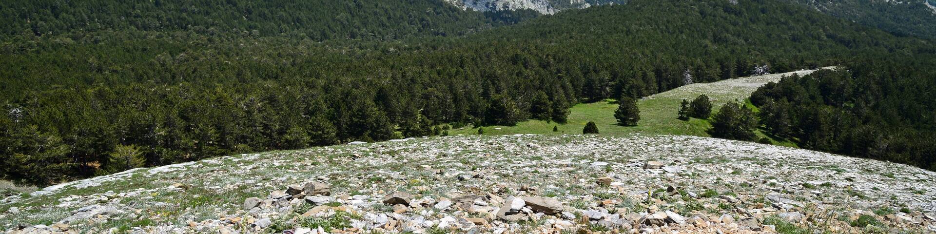 Kaz Mountains, located in Balikesir city of Turkey, is the most important mountain of the country with its rich vegetation and untouched nature.