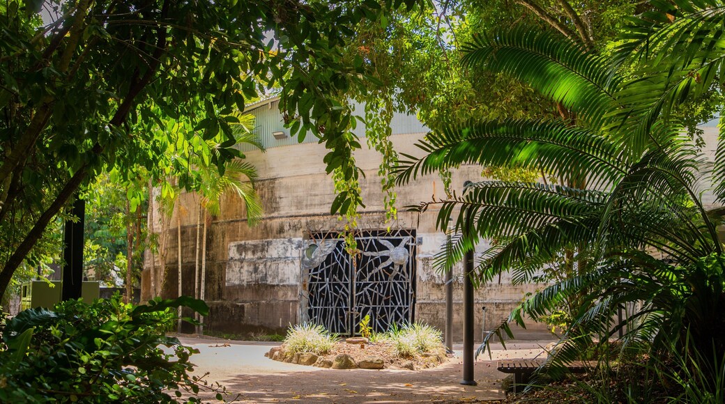 Centenary Lakes Botanic Gardens showing a garden
