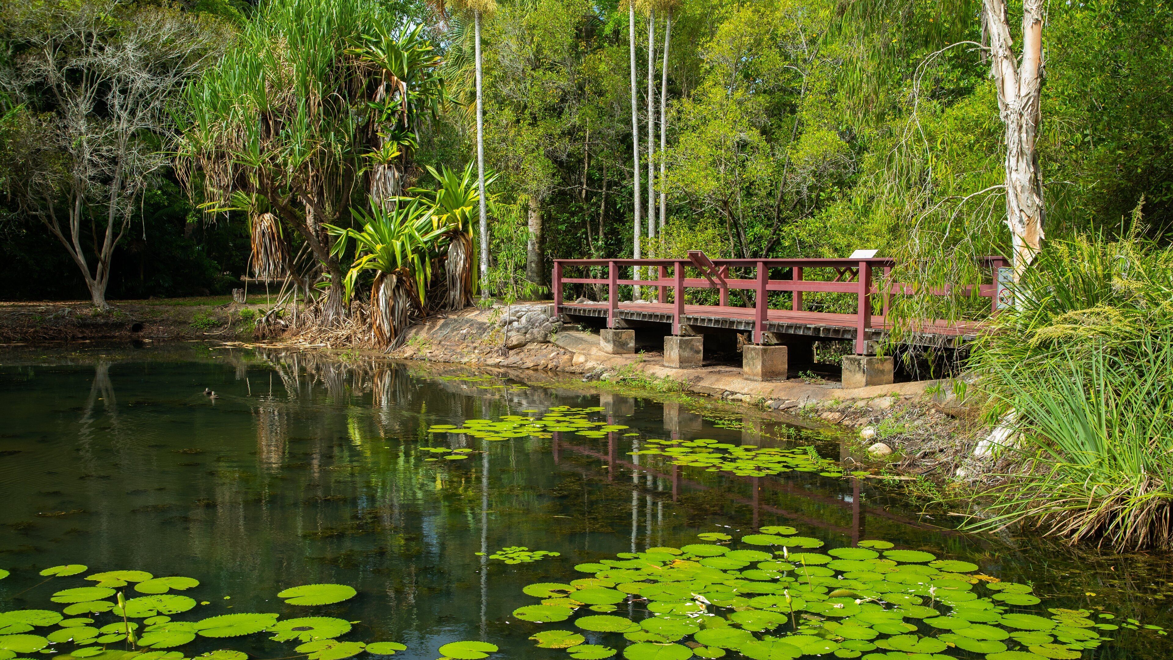 Centenary Lakes Botanic Gardens featuring a pond